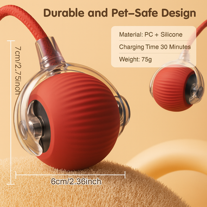 PawSpin | Cat & Dog Toys